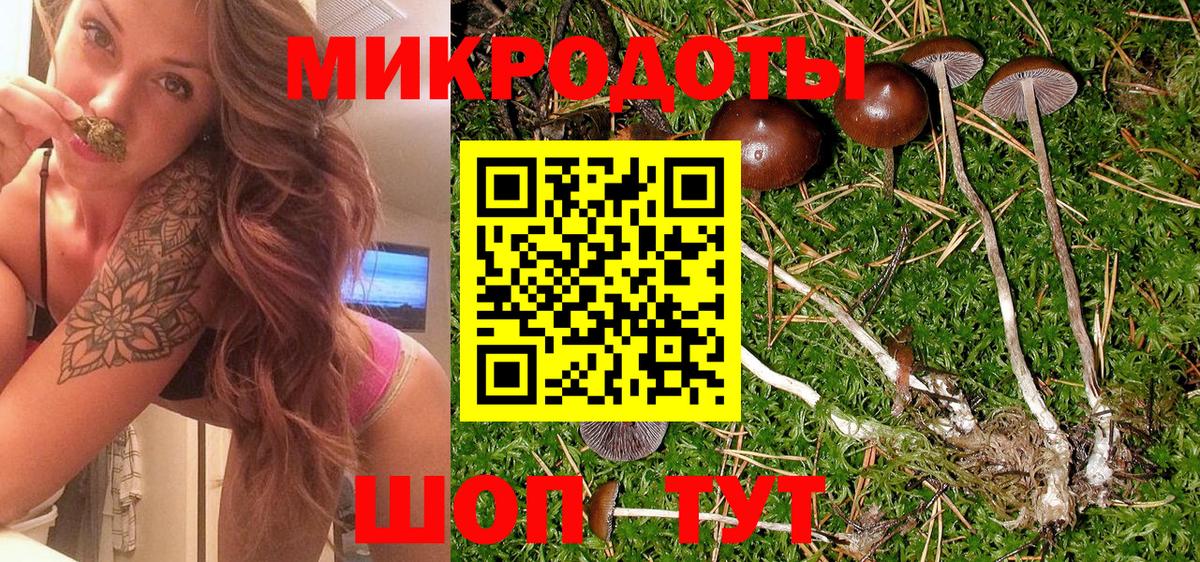 Галлюциногенные грибы прущие грибы Пенза