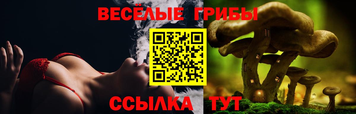 Галлюциногенные грибы GOLDEN TEACHER  цена наркотик  Пенза  Вход с VPN 