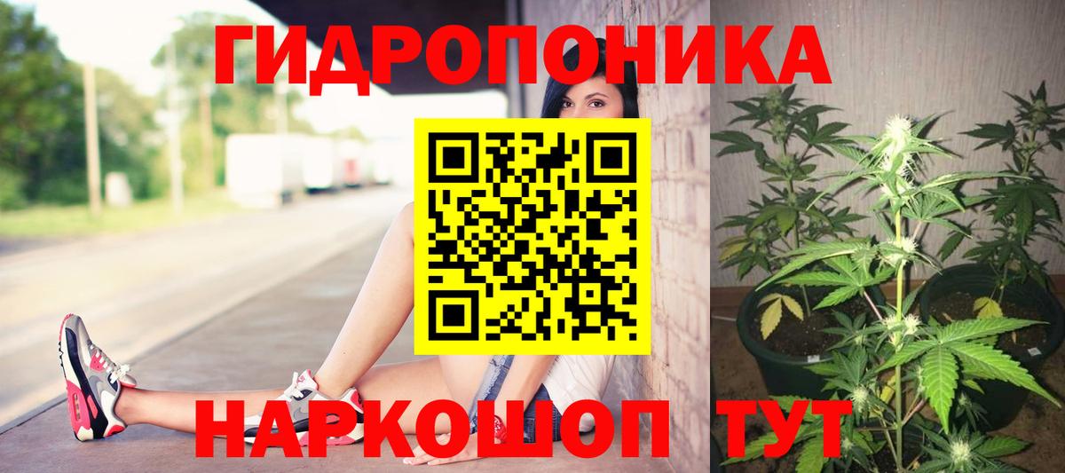 Бошки марихуана индика  Вход с VPN  Пенза  Бошки марихуана план  Конопля White Widow 